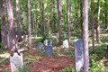 Image for Old Stone Cemetery at Landsford, Chester County,  SC
