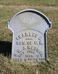 Image for Charles E. Redmon - Mt. Carmel Cemetery - Wolfe City, TX