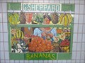 Image for G.Sheppard-Mosaic - Market Underpass - Newport, Gwent, Wales.