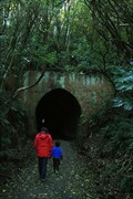 Image for Tunnel Hill — Owaka, New Zealand