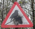 Image for Spring Along The Greenway 'Wild Birds Singing' - Liversedge, UK