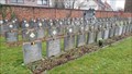 Image for Belgische Oorlogsgraven Gemeentelijke Begraafplaats - Turnhout, Belgium