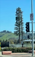 Image for Lewelling Blvd Tree - Hayward, CA