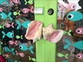 Image for Conch Shell Door Handle - Punta Gorda, Florida, USA