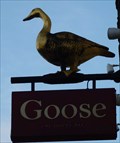Image for Goose on Hallgate - Hallgate, Doncaster, Yorkshire, UK.
