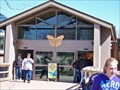 Image for Berniece Grewcock Butterfly house at Henry Doorly Zoo - Omaha , Nebraska