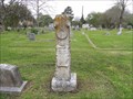 Image for George F. McElvy - Rosenberg Cemetery, Rosenberg, TX