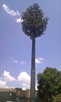 Image for Disguised Cell Tower, Lynwood Ridge,Pretoria