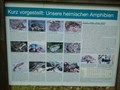 Image for Amphibieninfopunkt - Grambek, S.-H., Deutschland