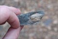Image for Suedberg Fossil Site - Swarata State Park, PA