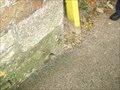 Image for Cut Benchmark in Cardwell Road, Bodmin, Cornwall