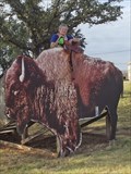 Image for Ride a 2-D Buffalo - Abilene, TX