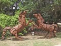 Image for Horses Fighting - Wimberley, TX