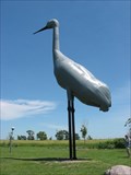 Image for World's Largest Sandhill Crane