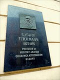 Image for Ludwig Teichmann  -  Krakow, Poland