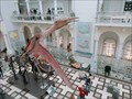Image for Pterosaurs - Warsaw, Poland