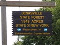 Image for Jenksville State Forest - Tioga Co., NY
