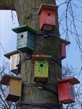 Image for Colored Bird Houses - Nunspeet NL