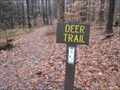 Image for Deer Trail at Prince Gallitzin State Park - Patton, PA