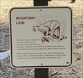 Image for Mountain Lion - Palm Springs, CA