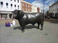 Image for Hereford Bull, High Town, Hereford, Herefordshire, England