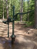 Image for Hand-Operated Pump at Amnicon Falls southeast of Superior, WI USA