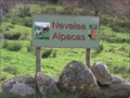 Image for Nevalea Alpacas. Taumarunui. New Zealand.