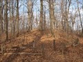 Image for Towner Mound - Kent, Ohio