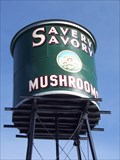 Image for Giant Can of Mushrooms - Westminster, Colorado