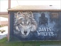 Image for Davis Wolves - Davis, OK