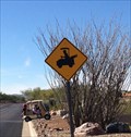 Image for Golf Cart Crossing-Saddlebrooke-Arizona
