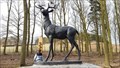 Image for Deer - Memorial Wood - Bradgate Park, Leicestershire