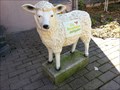 Image for Little Lamb - Mehrstetten, Germany, BW