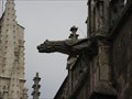 Image for Burgos Cathedral Gargoyles - Burgos, Spain