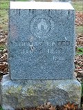 Image for Thomas Freed - Park Cemetery - Carthage, Mo
