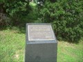 Image for Holocaust Memorial Cedar Trees - Nashville, Tn