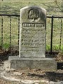 Image for George Burt - Davis Cemetery - Lawrence, Ks.