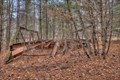 Image for A Bridge in the Woods - Grafton MA