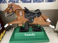 Image for Pony Ride - “Sandy” - Holland, Michigan