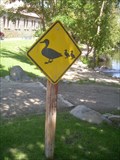Image for Duck Crossing - Mount Whitney Fish Hatchery, Independence, California
