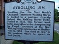 Image for Strolling Jim  3 G 34