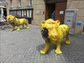 Image for Two yellow lions - Amberg, Germany