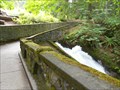 Image for Whatcom Falls Park Bridge