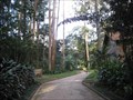 Image for Parque Guarapiranga - Sao Paulo, Brazil