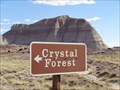 Image for Crystal Forest - Petrified Forest National Park, Arizona, USA.