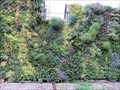 Image for Green walls create new urban jungles - London, U.K.