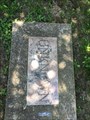 Image for Unknown - Old Bethal Cemetery - Jackson, MO.