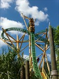 Image for Cheetah Hunt - Busch Gardens, Tampa, Florida.