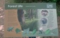 Image for Forest Life - Elmer W. Oliver Nature Park - Mansfield, TX