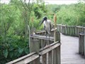 Image for Gatorland Breeding Marsh and Bird Sanctuary - Orlando, FL
